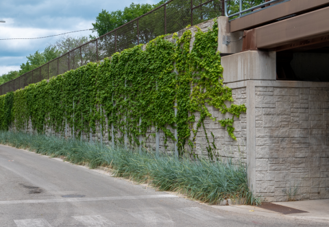 retaining wall